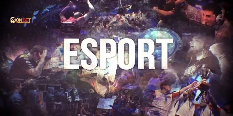 Giới thiệu đôi nét về sân chơi cá cược esports 8kbet